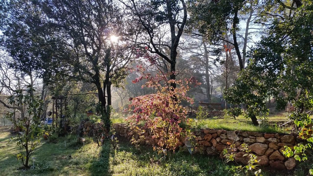 Villa Mylena Jouques Екстериор снимка